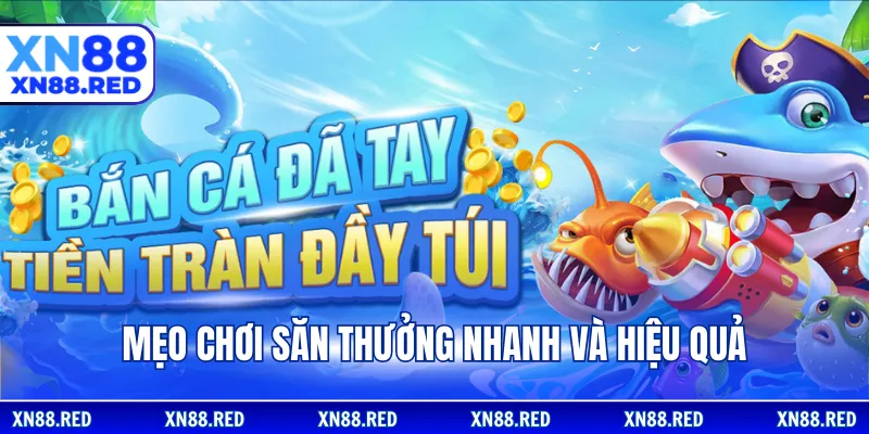 Mẹo chơi săn thưởng nhanh và hiệu quả