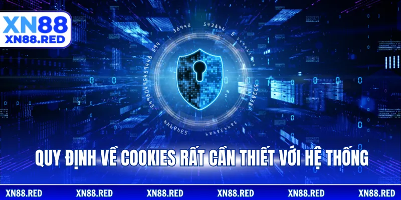 Quy định về cookies rất cần thiết với hệ thống